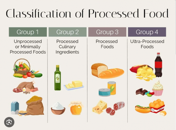 Ultra Processed Food (UPF) Update July 2023